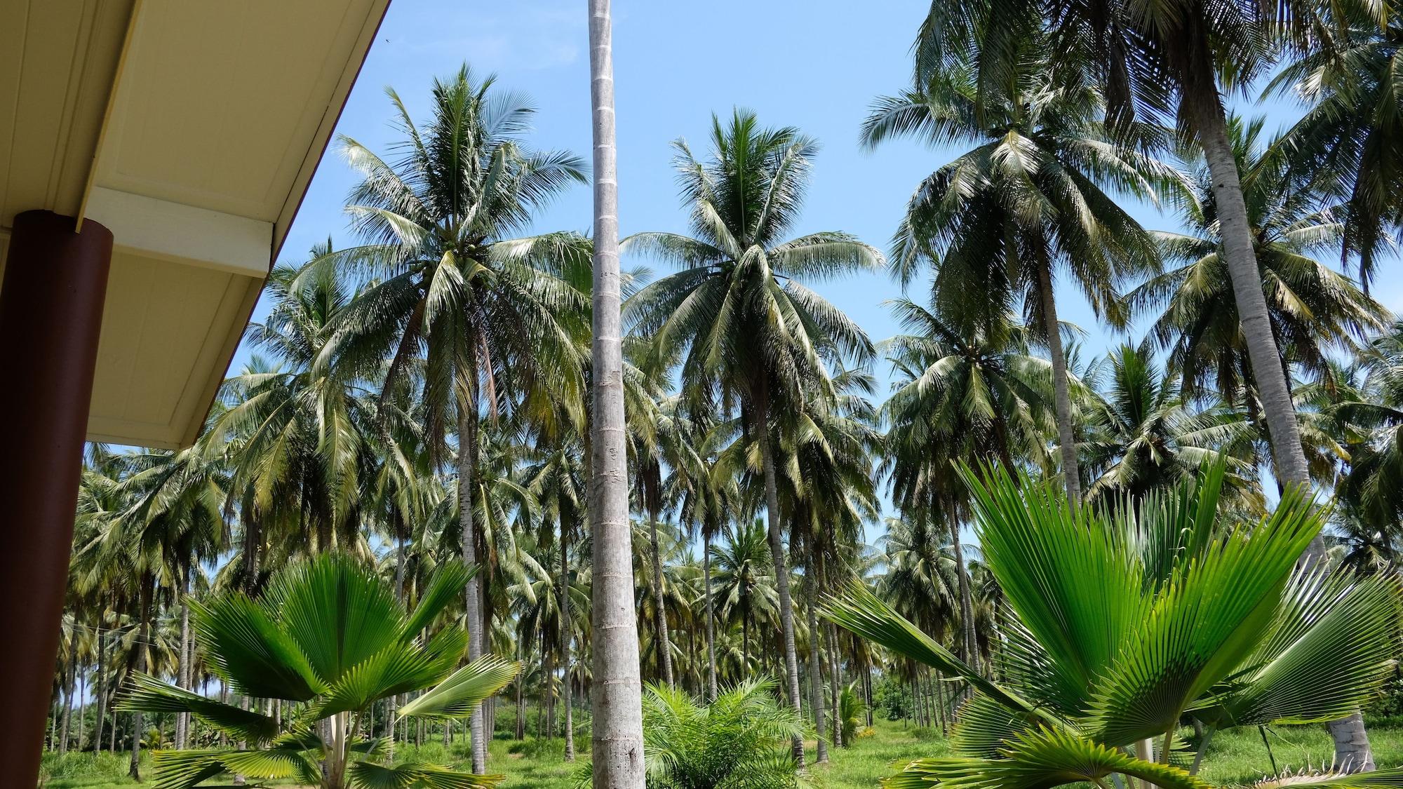 Готель Khao Lak Golden Coconut Екстер'єр фото