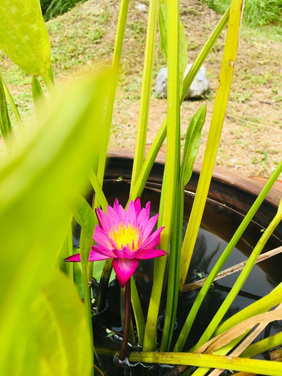 Готель Khao Lak Golden Coconut Екстер'єр фото